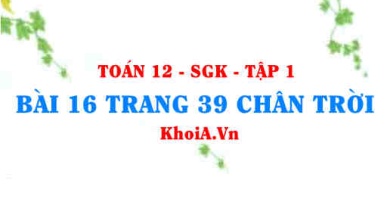 Bài 16 trang 39 Toán 12 Tập 1 Chân trời sáng tạo